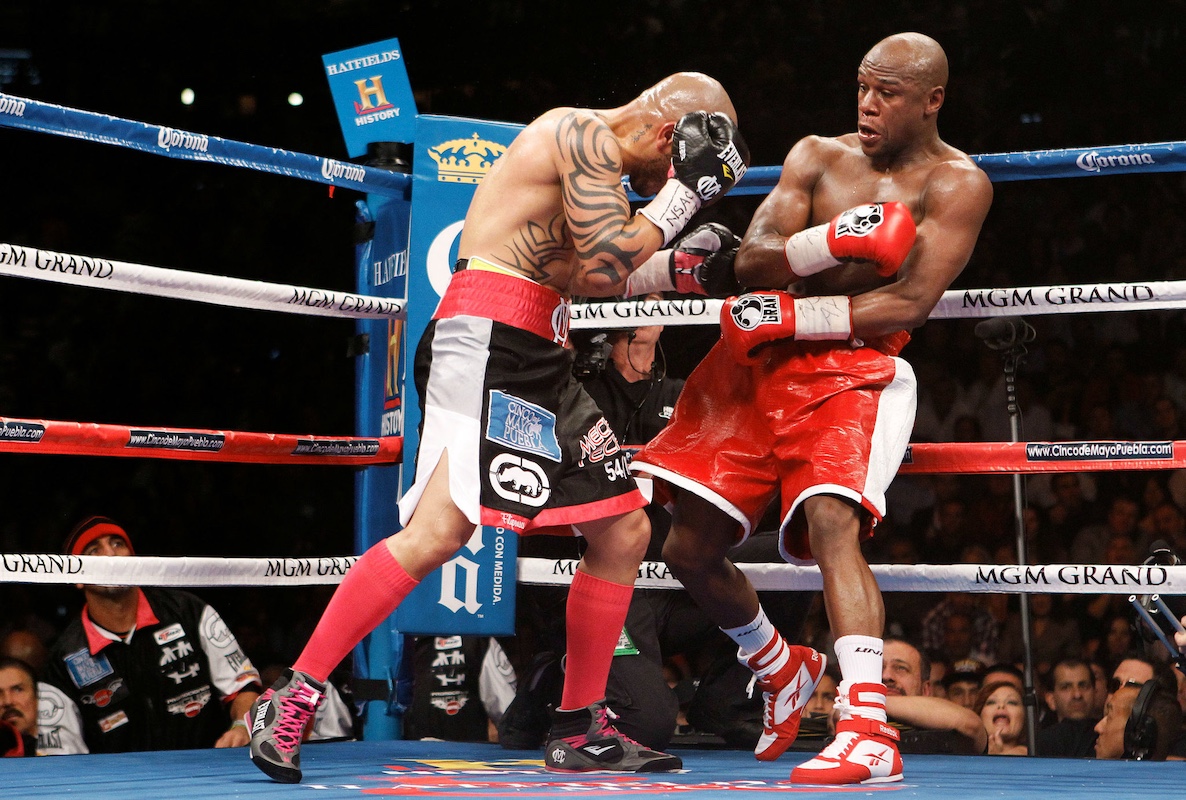 Inside the Ring: My Training Routine as a Pro Boxer – By David Delavari hero image